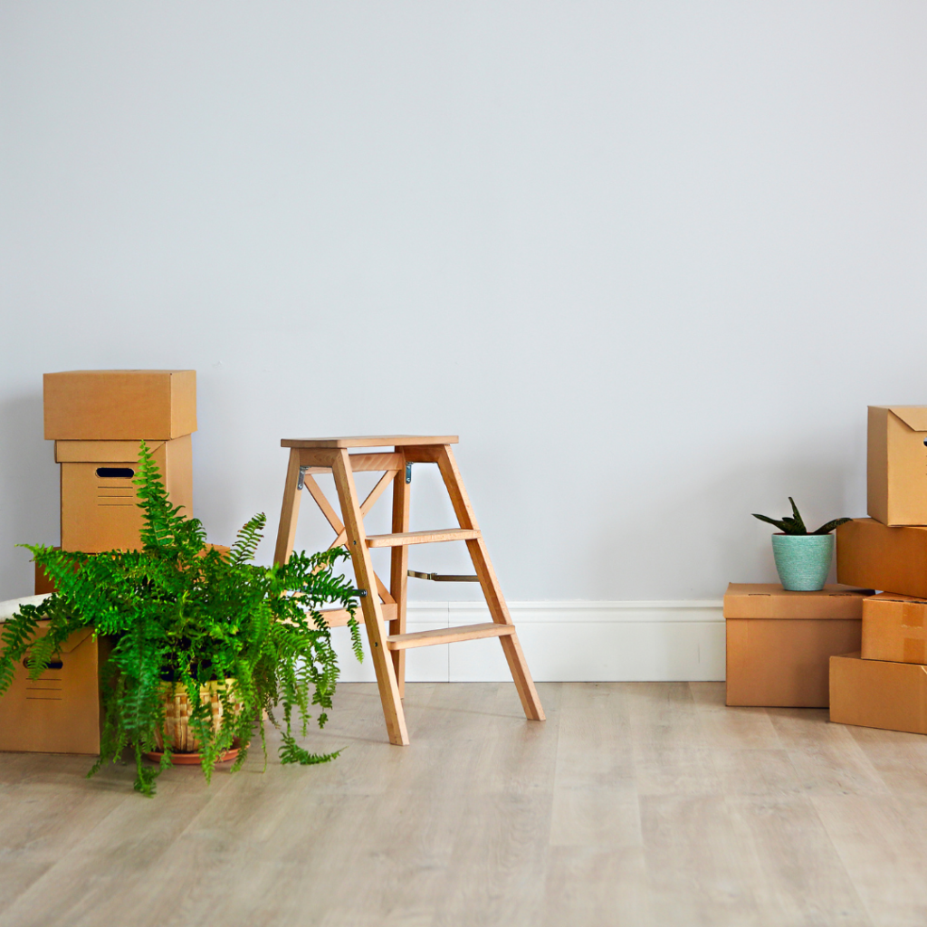 Flytterengøring ved ind- og fraflytning