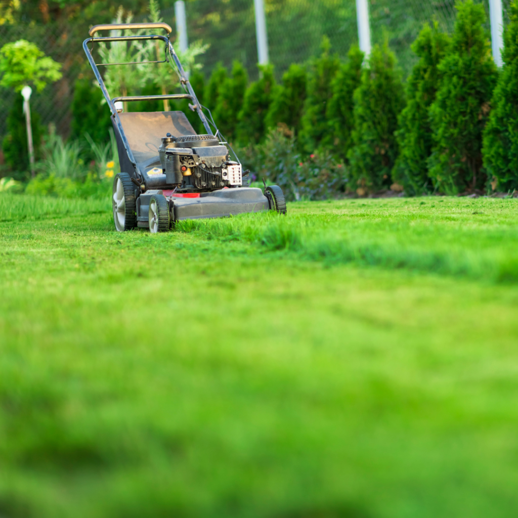 græsslåning i private haver i Aarhus