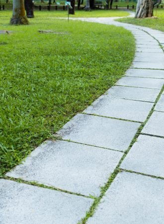 pavement-walk-path-in-park-2026-01-11-10-33-22-utc